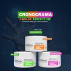 KIT CRONOGRAMA CAPILAR 3 PASSOS 300g