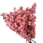 Kit de 10 bougainville - Flores Desidratadas - Buquê Arranjo Preço Flor Preço