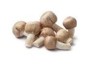 Cogumelo Shitake Shiitake Desidratado 100g (Kit com 7) - GW - Cogumelo  Desidratado - Magazine Luiza