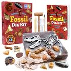 Kit de escavação Dancing Bear Fossil Excavate 15 fósseis com ferramentas