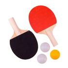 Kit de Ping Pong com 5 Peças - Novo Século - NOVO SECULO