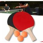 Kit de ping pong completo com 3 bolinhas e o par de raquetes de madeira
