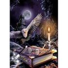 Kit de pintura de diamantes Wokex Harry Potter Owl 30x40cm