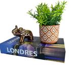Kit decorativo livro Londres + vaso artesanal + elefante