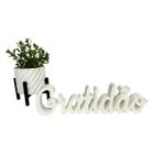 Kit Decorativo Vasinho Palavra Gratidão Planta Delicado Flor