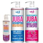Kit Encrespando A Juba 1L - Shampoo Limpeza Inteligente 1L - Geleia Seladora 300ml Widi Care