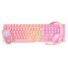 Kit Gamer Evolut EG53 Rosa - Teclado ABNT2, LED Rainbow + Mouse 1200DPI + Headset 40mm com LED