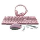 Kit Gamer Starter Eg-53 Com Teclado e Mouse Rgb e Headset Rosa