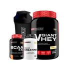 Kit Giant Whey 900G+ Power Creatina 100G+ Bcaa 100G