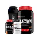 Kit Giant Whey 900G+ Power Creatina 100G+ Bcaa 100G