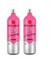 Kit Gin Eternity Strawberry - Gin Doce 950ml 2 unidades