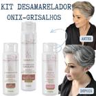 Kit Grisalho Perfeito Desamarelador Prot. Solar e Térmico