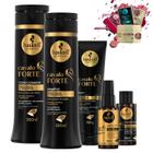 Kit Haskell Cavalo Forte Sh Cond 300ml Leave Selan Complexo