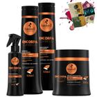 Kit Haskell Encorpa Cabelo Sh Cond Masc 500 Fluido 4 Itens