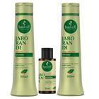 Kit Haskell Jaborandi Antiqueda Shampoo e Condicionador 500m l + Nectavita 35ml