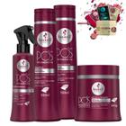 Kit Haskell Pos Progressiva Sh Cond Mascara 500g Fluido