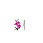 Kit Haste Orquidea Artificial+Pluma Artificial Haste - DIDO FLORES