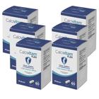 Kit Herbamed Calcivitan Flex 6 Caixas 60 Cápsulas Cada