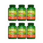 Kit Herbamed Colágeno Tipo II 6 Potes 30 Cápsulas Cada