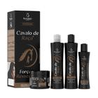 Kit Hidratação Capilar Cavalo De Raca Bio Instinto 4 Itens