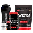 Kit Hipercalórico Waxy Mass 3Kg+ Waxy Whey 900G - Bodybuilders