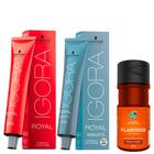 Kit Igora 12.0 Super Clareador Natural, 9.7 Louro Extra Claro Cobre e Tonalizante Flamingo 150ml