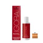 Kit Igora HD 9.7 Louro Extra Claro Cobre e Água Oxigenada 30vol 9% 60Ml