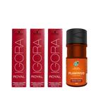 Kit Igora Royal Hd 7.77 Louro Médio Cobre Extra E