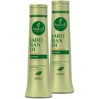 Kit Jaborandi Shampoo Condicionador 500ml Haskell