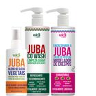 Kit Juba Co-Wash 500ml + Cpp Crespos 500ml + Blend de Óleos 60ml - Widi