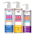 Kit Juba Shampoo Condicionador E Modelando A Juba Geleia Seladora Widi Care