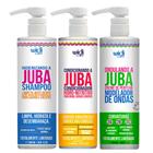 Kit Juba Shampoo Condicionador E Ondulando A Juba Widi Care 500ml
