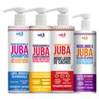 Kit Juba Shampoo Condicionador Geleia Modelando E Encaracolando A Juba Widi Care
