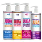 Kit Juba Shampoo Condicionador Geleia Modelando E Encrespando A Juba Widi Care