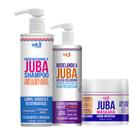Kit Juba Widi Care Shampoo Higienizando, Máscara Hidro Nutritiva E Geleia Seladora