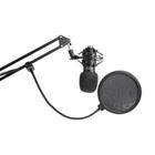 Kit Lexsen Studio Com Microfone LM-260 Condensador XLR e Suporte de Mesa Bi-articulado - Studio