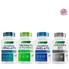 Kit Magnesio Dimalato Quelato Treonato Coenzima Q10 Ubiquinol 100% Puro 500mg 480Cáp Ecomev