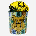 Kit Manta Com Balde Casas de Hogwarts Harry Potter