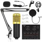 Kit Microfone Condensador Com Braço Articulado Para Gravação Studio