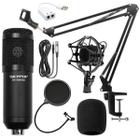 Kit Microfone Condensador Profissional De Estúdio Bm800 Usb