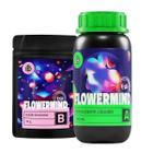 Kit Nutrição P Fertilizante Flowermind 250ml + 32 Gramas - FLOWERMIND CO.