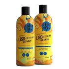 Kit Oh My Shampoo E Condicio. Liso Até Falar Que Chega 500Ml