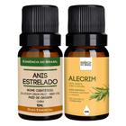 Kit Óleo Essencial Anis-Estrelado + Vegetal de Alecrim 10ml