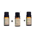 Kit óleo essencial cabelo forte e saudável 1 Alecrim +1 Tea Tree + 1 menta piperita