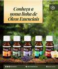 Kit Óleo Essencial com 05 óleos Aromaterapia Akmos