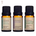 Kit Óleo Essencial de Lavanda, Menta Piperita (Hortelã Pimenta) e Eucaliptus Globulus Via Aroma 10ml - 100% Puros