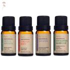 Kit Óleo Essencial de Menta Piperita (Hortelã Pimenta), Laranja Doce, Eucaliptus Globulus e Lavanda Via Aroma 10ml