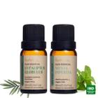 Kit Óleo Essencial Eucaliptus e Menta Piperita Via Aroma