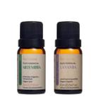 Kit Óleo Essencial Lavanda e Artemisia Via Aroma - Aromaterapia