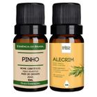 Kit Óleo Pinho + Óleo Vegetal Alecrim 10ml - Essência Brasil